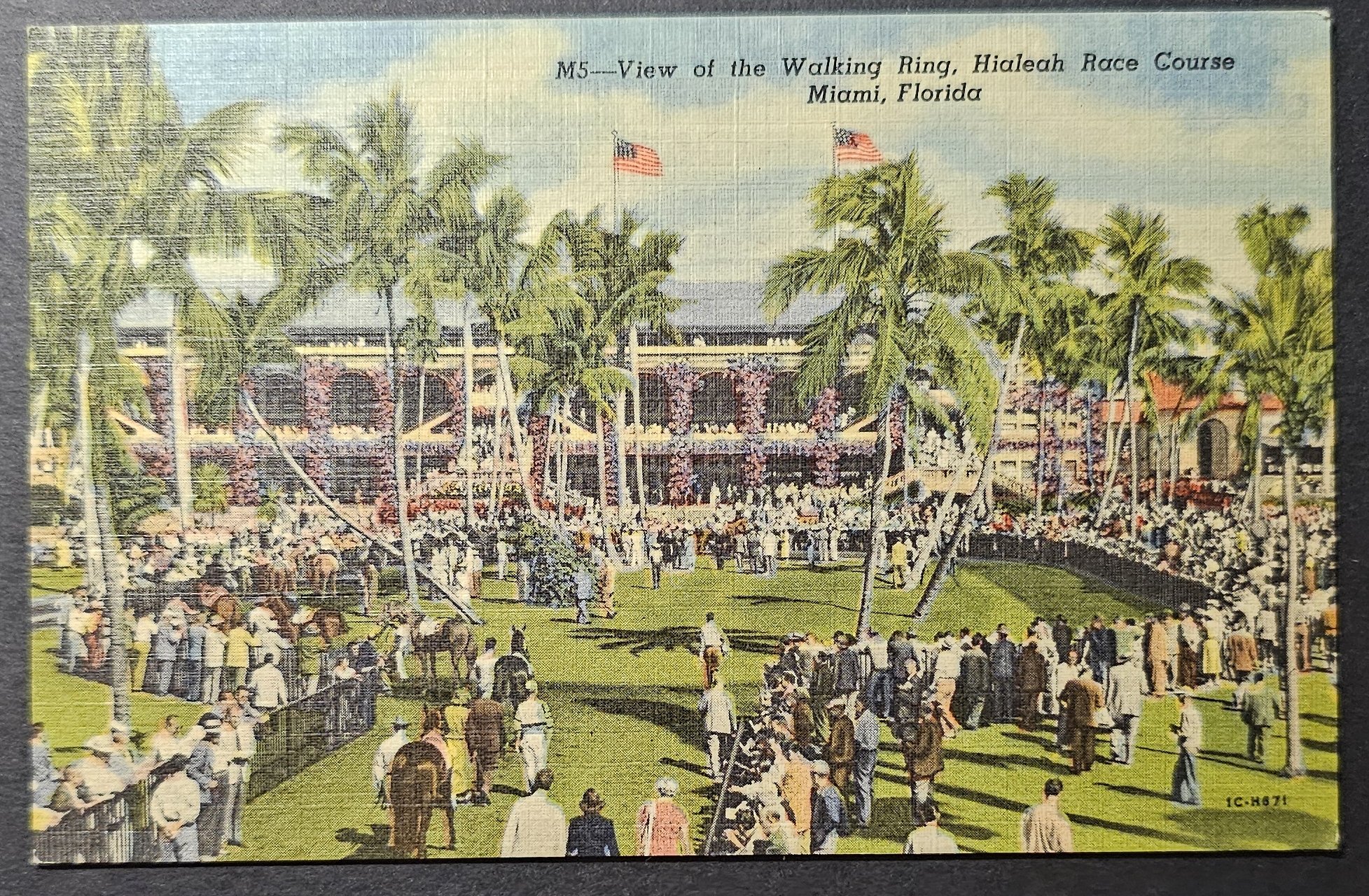 postcard USA - FL - Florida #0042 (image for) postcard USA - FL - Florida #0042